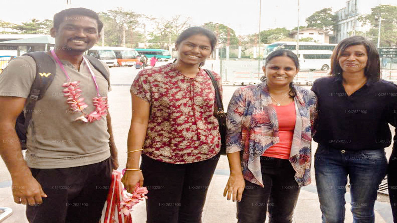 Privater Transfer von Nuwara Eliya City nach Hambantota City