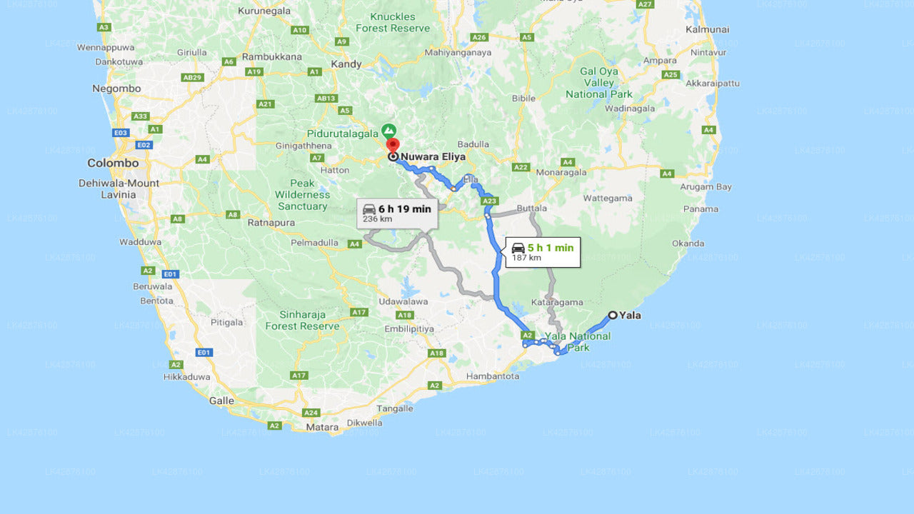 Privater Transfer von Yala City nach Negombo City
