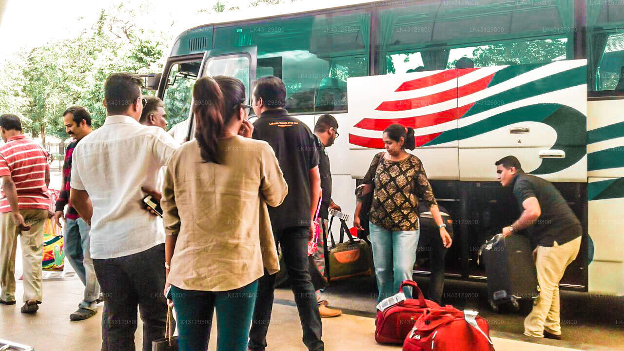 Transfer zwischen dem Flughafen Colombo (CMB) und dem Cocoon Resort and Villas, Induruwa