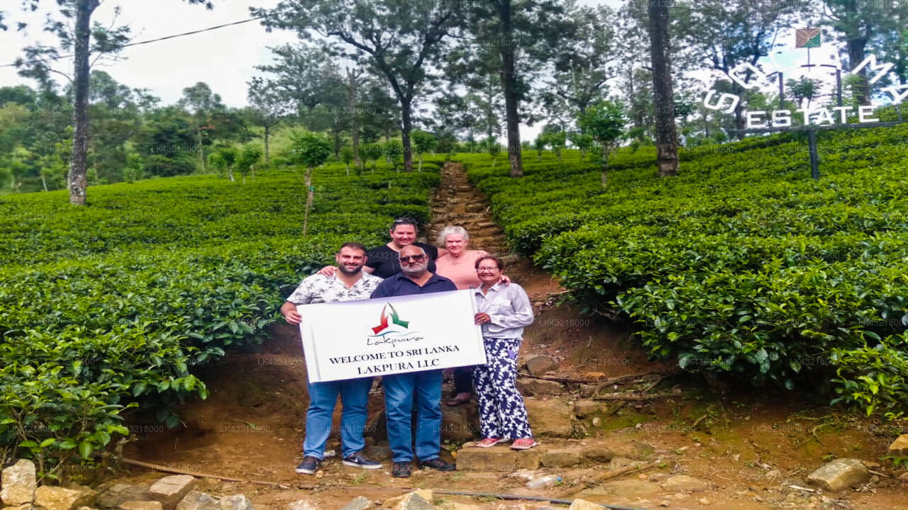 Transfer zwischen dem Flughafen Colombo (CMB) und Unique Cottages, Nuwara Eliya