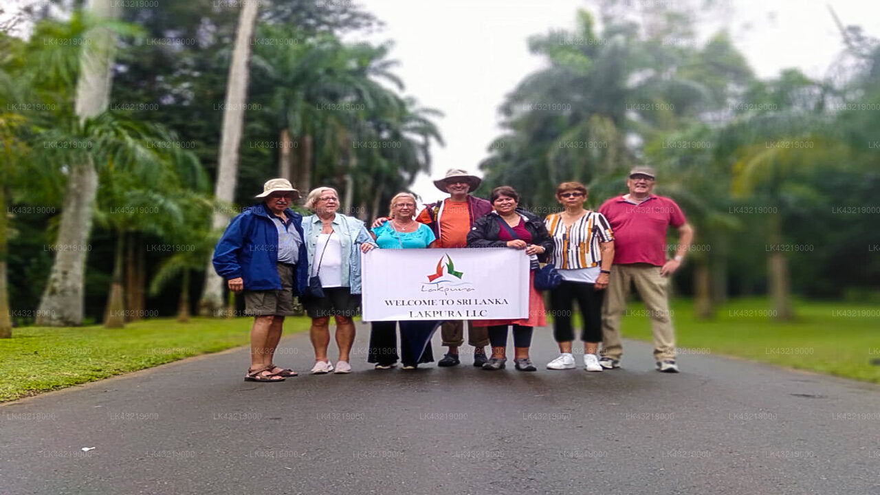 Transfer zwischen dem Flughafen Colombo (CMB) und der Thuruliya Lodge, Ramboda