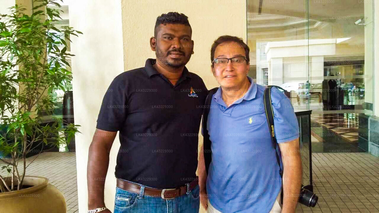 Transfer zwischen dem Flughafen Colombo (CMB) und Jade Green Hambantota, Hambantota