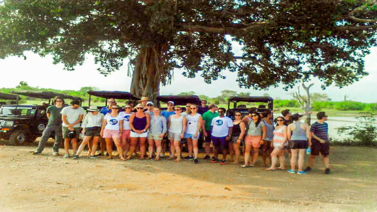 Transfer zwischen dem Flughafen Colombo (CMB) und dem Palm Resort Nilaveli, Trincomalee