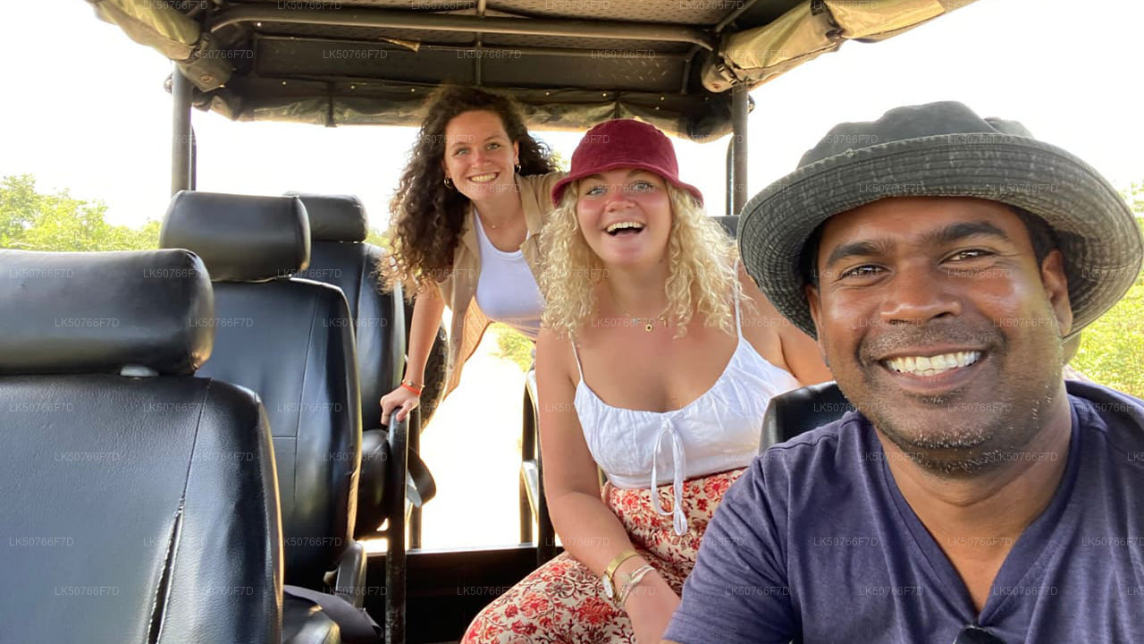 Private Safari im Udawalawe-Nationalpark mit Naturforscher
