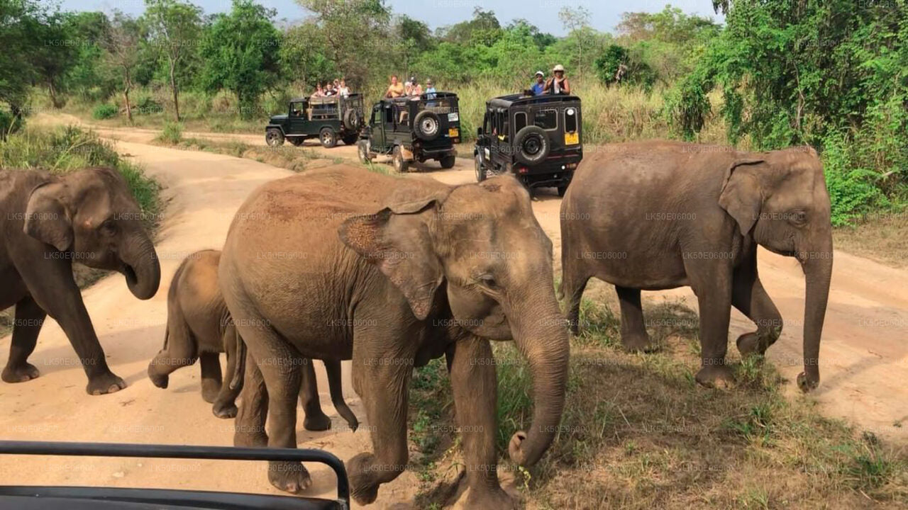Private Safari im Hurulu Eco Park ab Dambulla