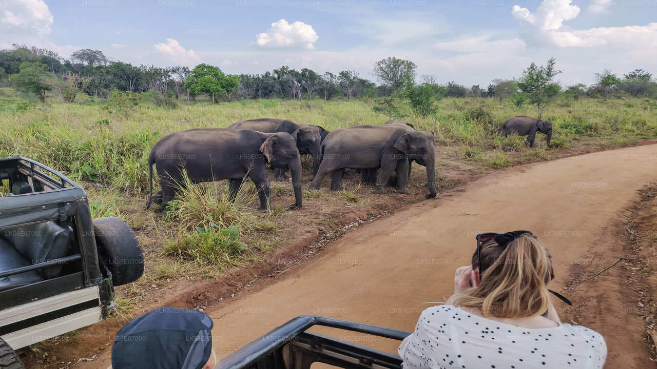 Hurulu Eco Park Safari von Polonnaruwa