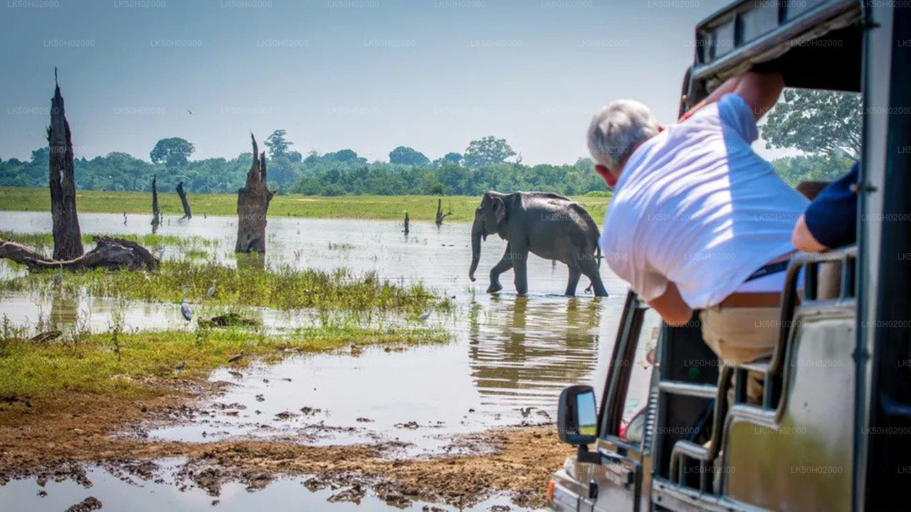 Private Safari im Bundala-Nationalpark mit Naturforscher