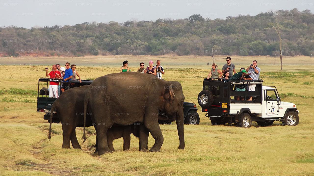 Wasgamuwa-Nationalpark Private Safari