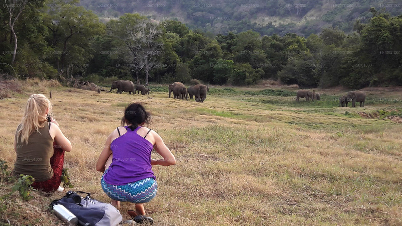 Wasgamuwa-Nationalpark Private Safari