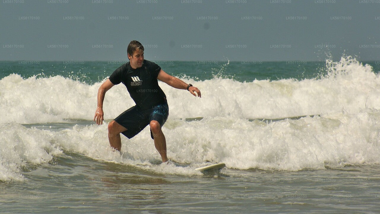 Surfen von der Arugam Bay aus