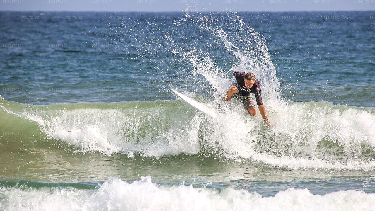 Surfen von der Arugam Bay aus