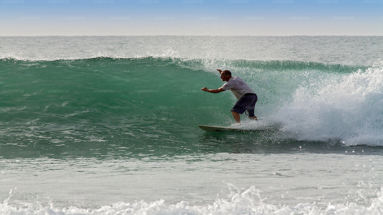 Surfen von Weligama aus
