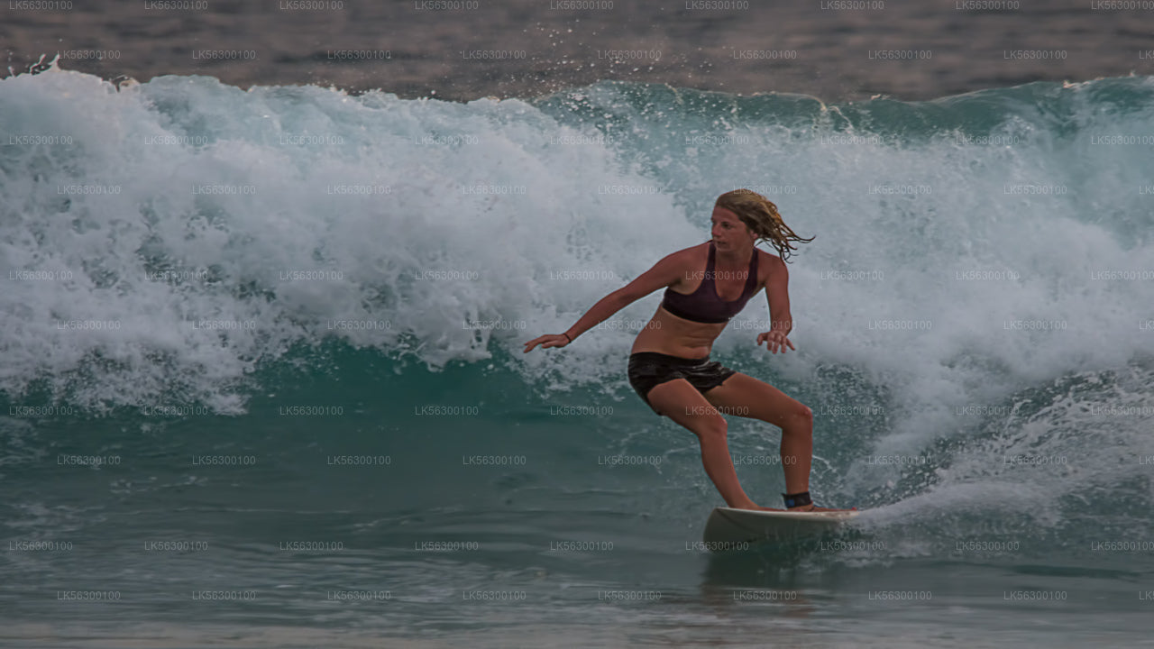 Surfen von Weligama aus