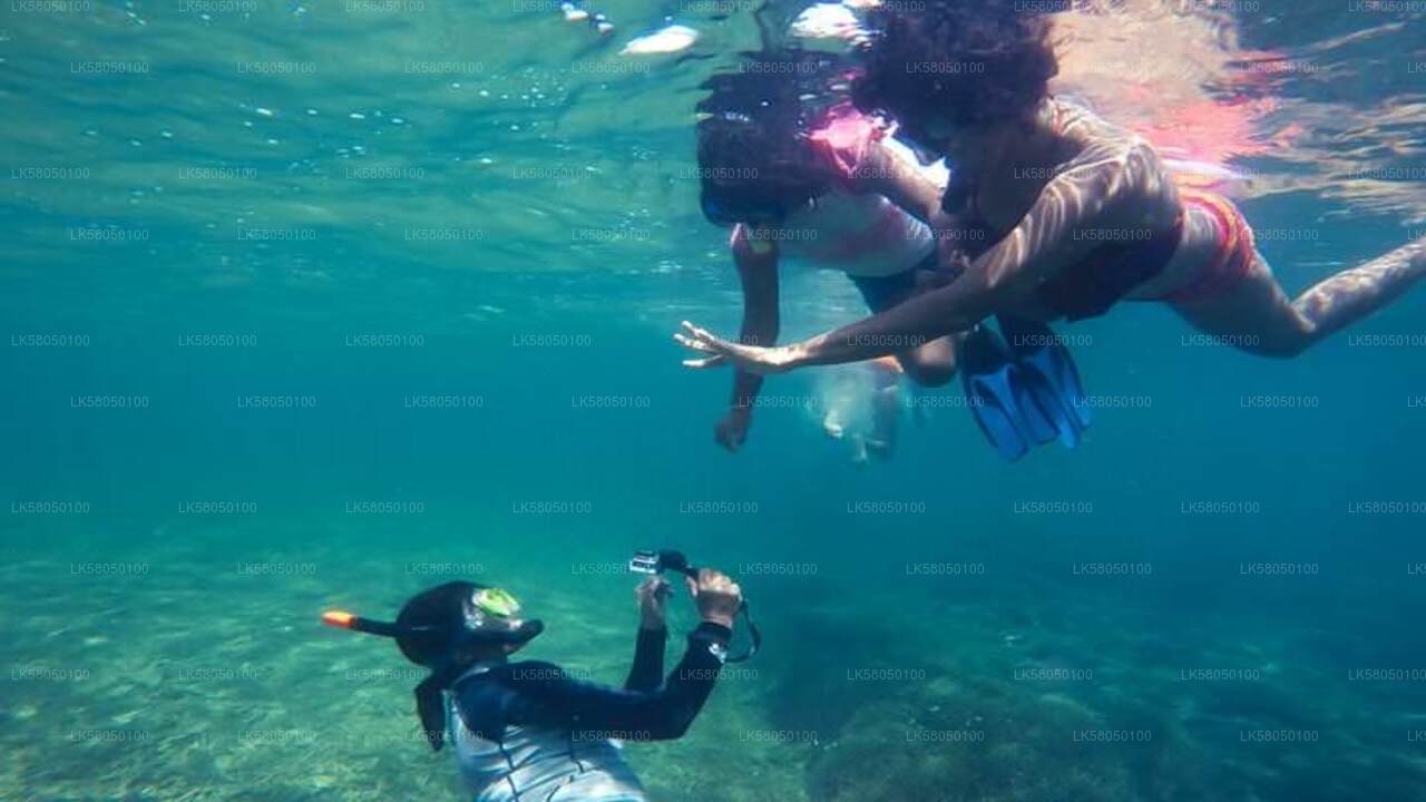 Schnorcheln von Negombo aus