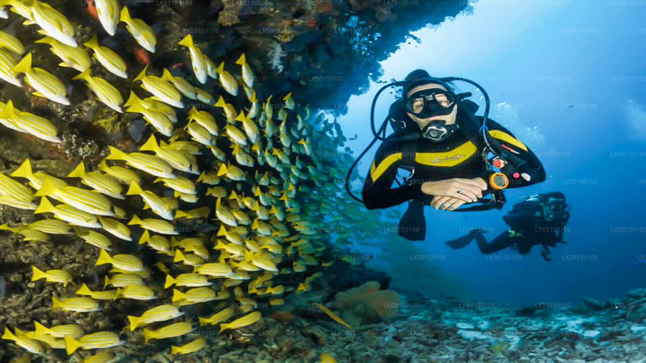 Schnorcheln im Talawila St. Anne's Reef von Kalpitiya aus