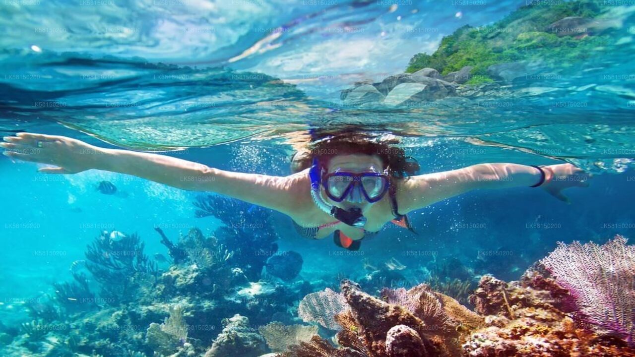 Schnorcheln im Bar Reef Marine Sanctuary von Kalpitiya aus
