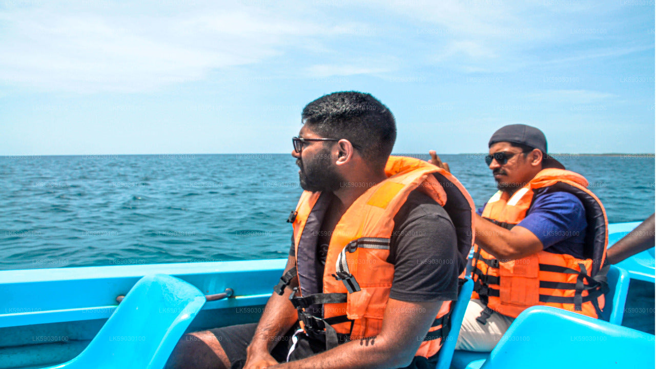 Bootstour zum Hochseefischen ab Bentota