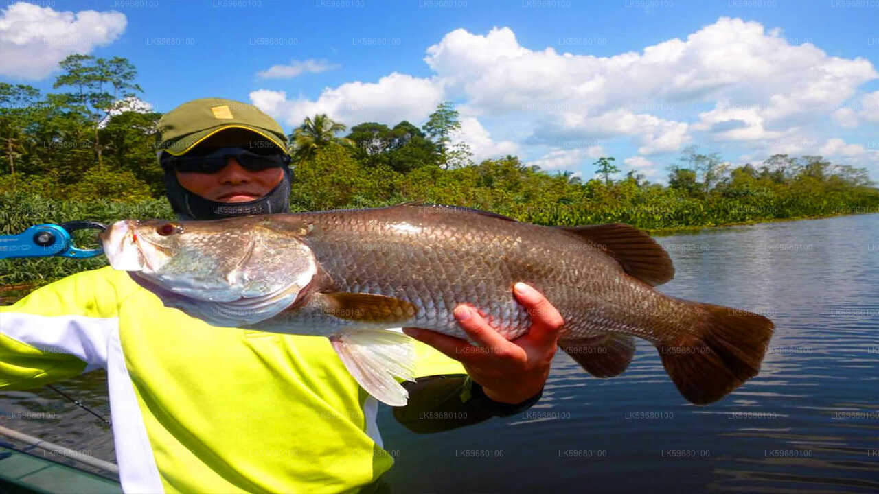 Süßwasserfischen am Bolgoda-See von Colombo
