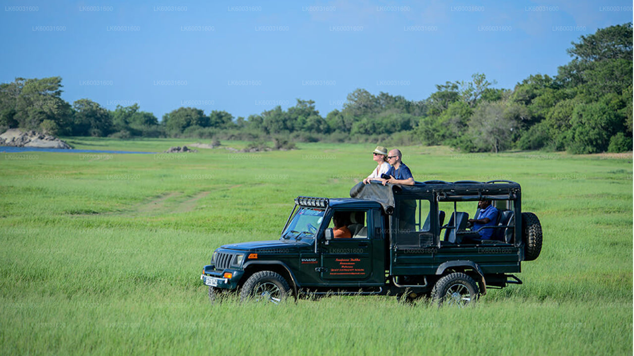 Udawalawe-Nationalpark-Safari ab Kosgoda