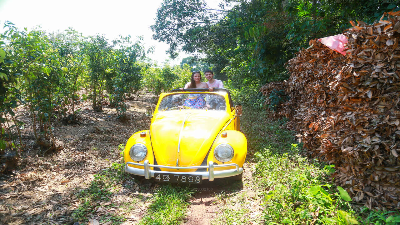 Bentota Countryside Tour mit dem Oldtimer