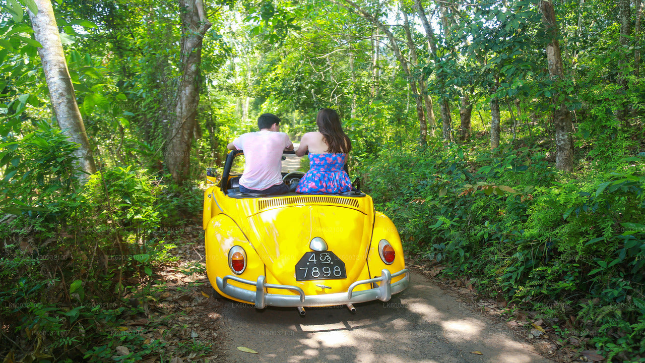 Bentota Countryside Tour mit dem Oldtimer
