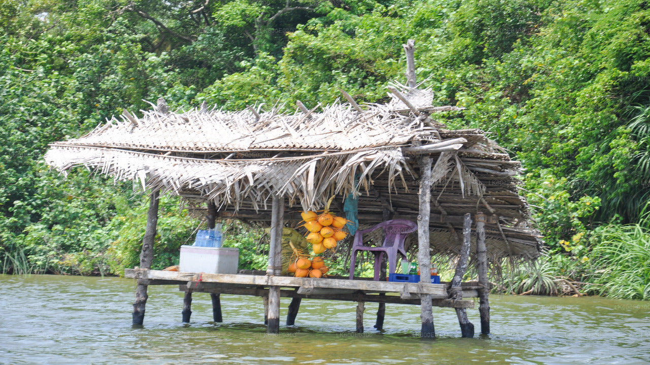 Küstenfahrt von Beruwala nach Galle