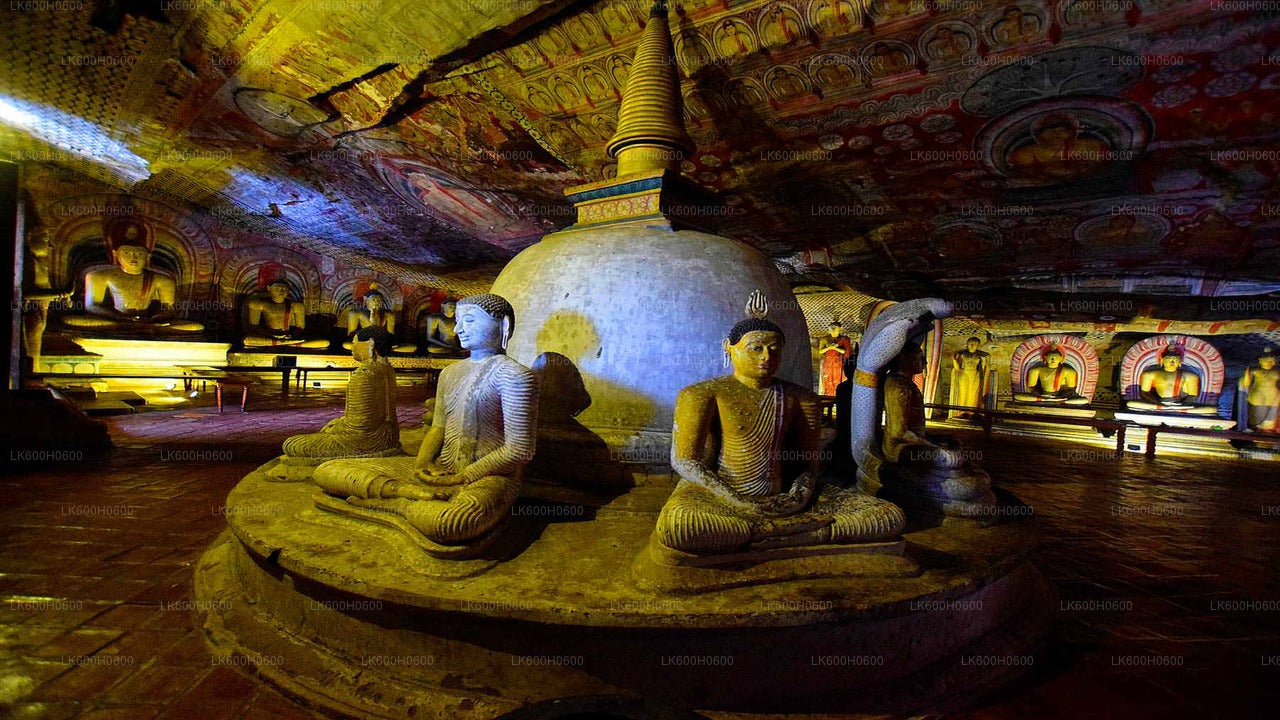 Sigiriya und Dambulla aus Colombo