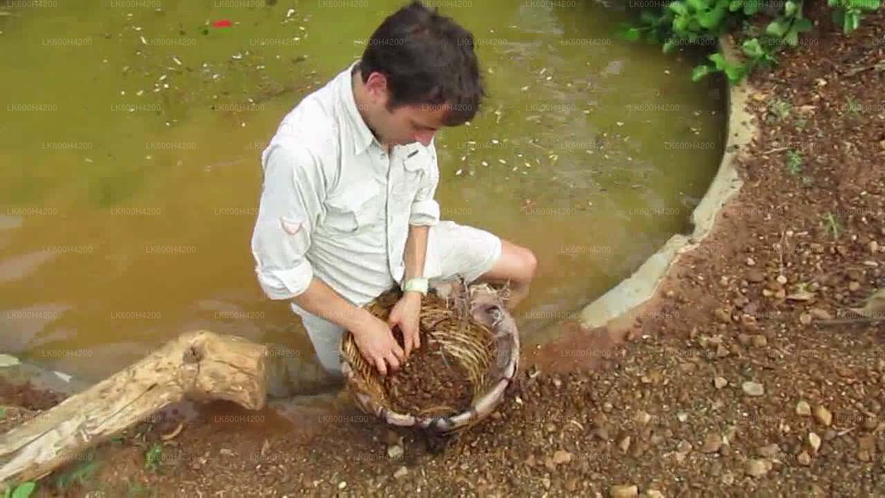 Erkunden Sie die Edelsteinminen in Ratnapura von Colombo aus