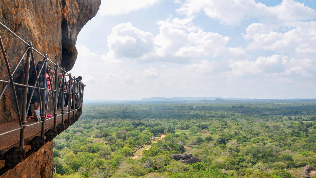 Sigiriya Rock- und Wildelefant-Safari ab Dambulla