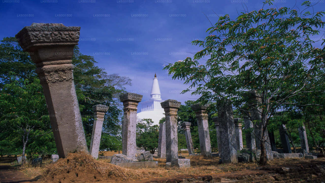 Tour zu buddhistischen Ikonen nach Anuradhapura ab Dambulla
