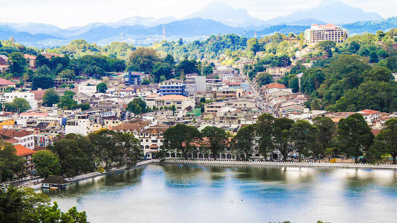 Kandy-Stadtrundfahrt ab Dambulla