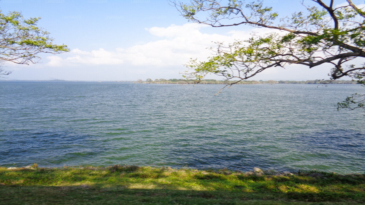 Ritigala, Kala Wewa und Namal Uyana aus Dambulla