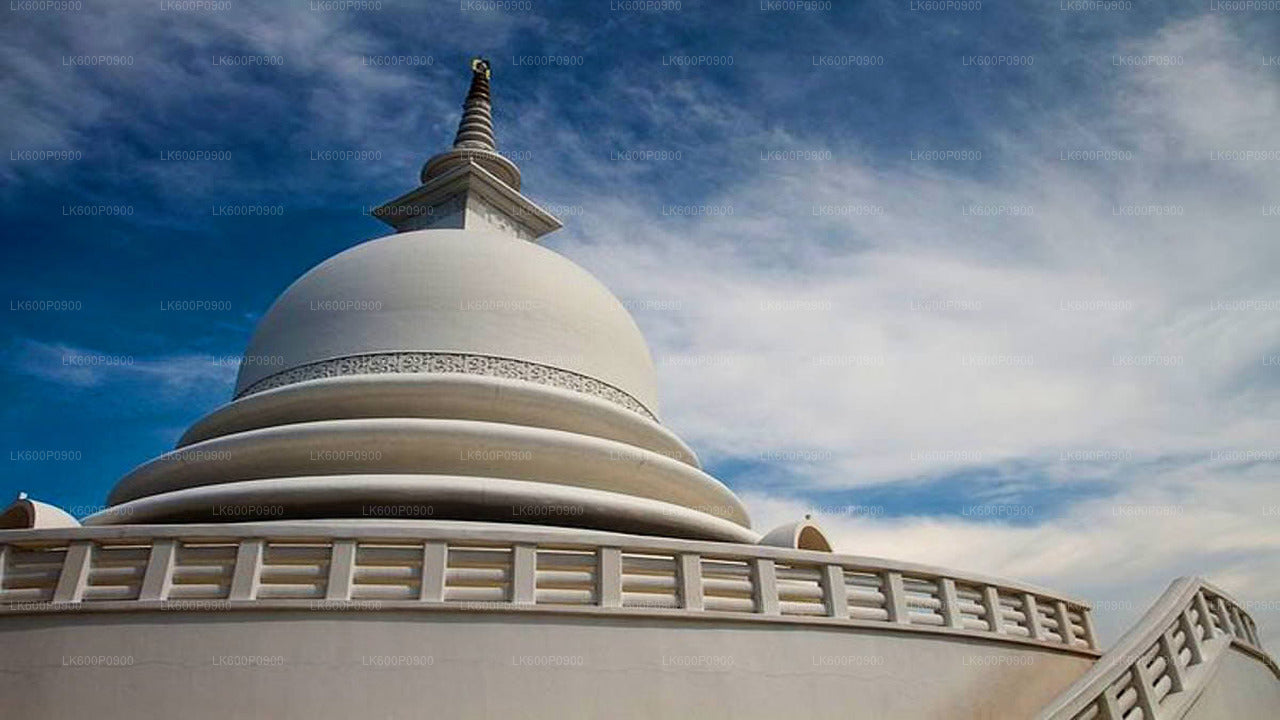 Ab Galle: Tour zu versteckten Tempeln und einsamen Küsten