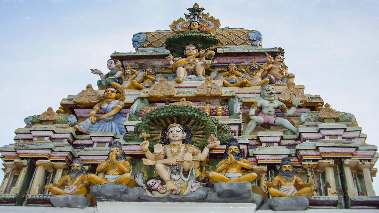 Stadtrundfahrt durch Trincomalee ab Habarana