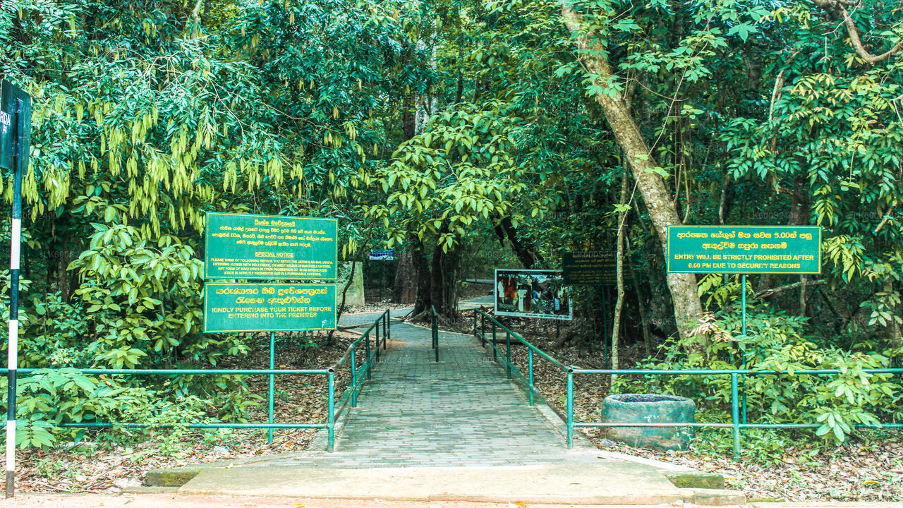 Ritigala, Kala Wewa und Namal Uyana aus Habarana