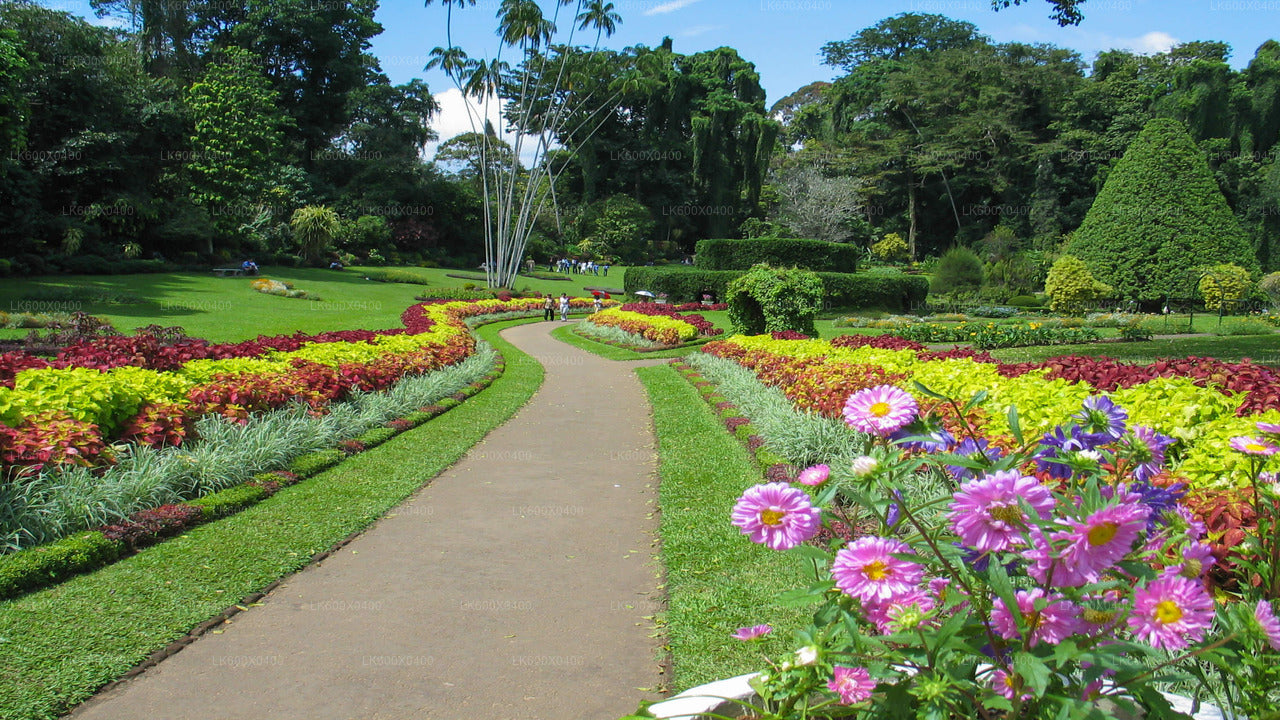 Kandy-Stadtrundfahrt ab Hikkaduwa