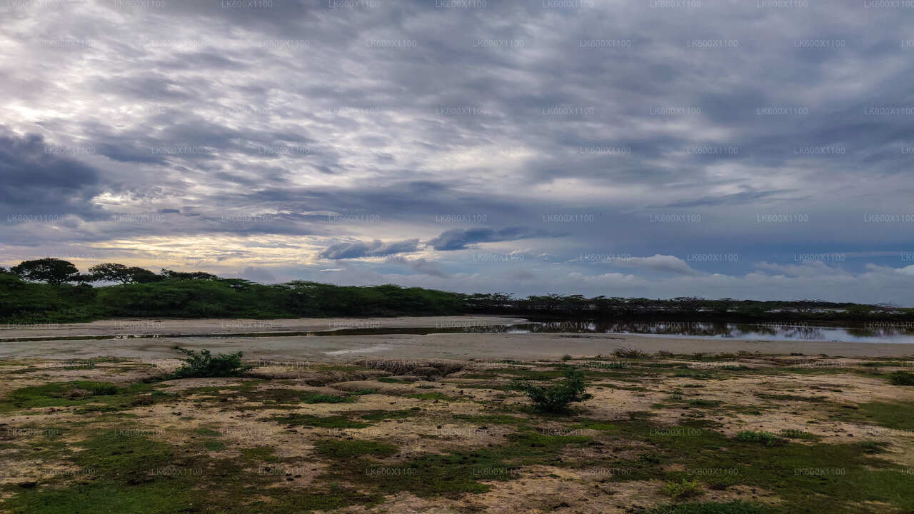 Bundala-Nationalpark-Safari ab Hikkaduwa
