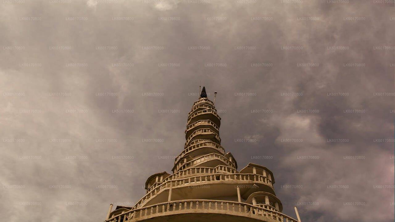 Erkunden Sie den Ambuluwawa Biodiversity Complex von Kandy aus