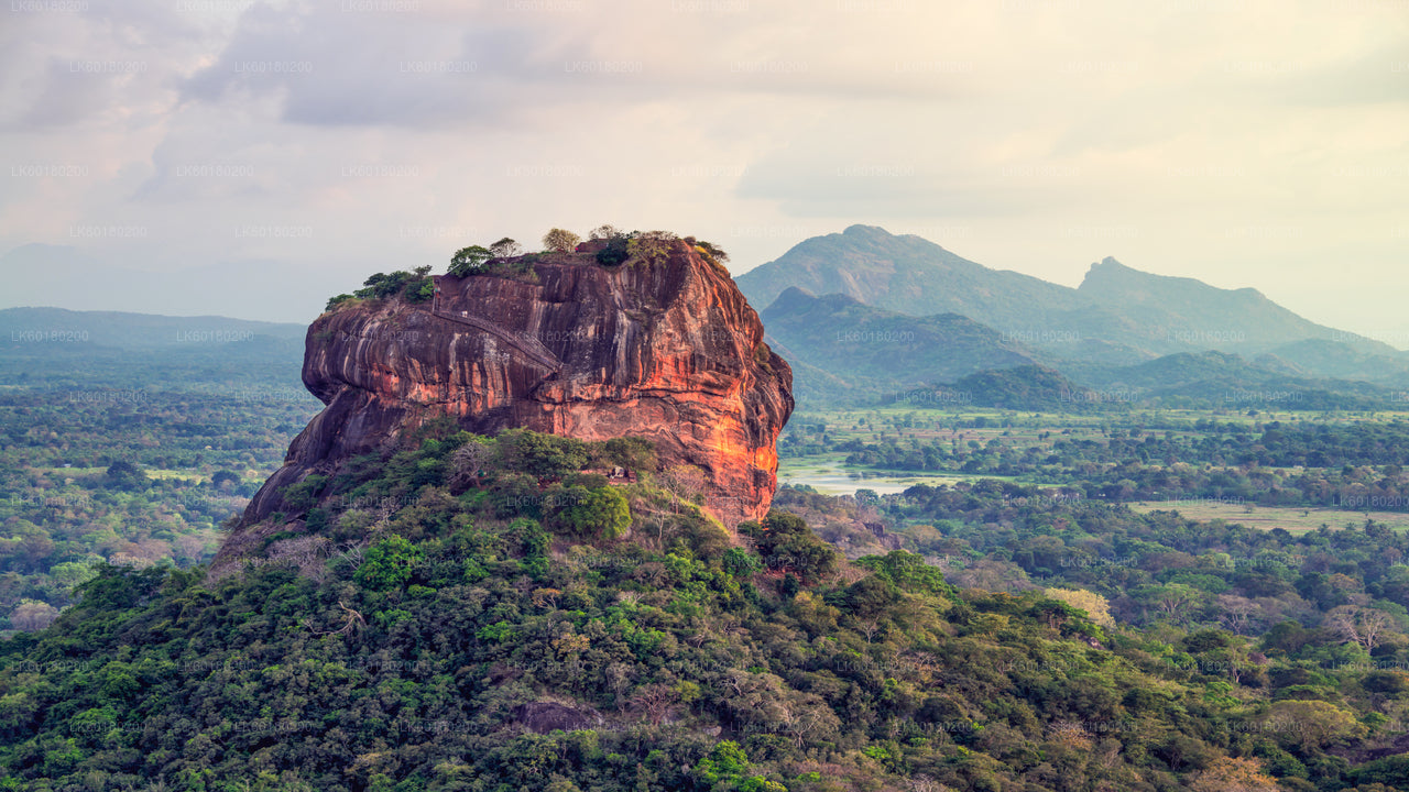 Sigiriya und Dambulla aus Kalpitiya