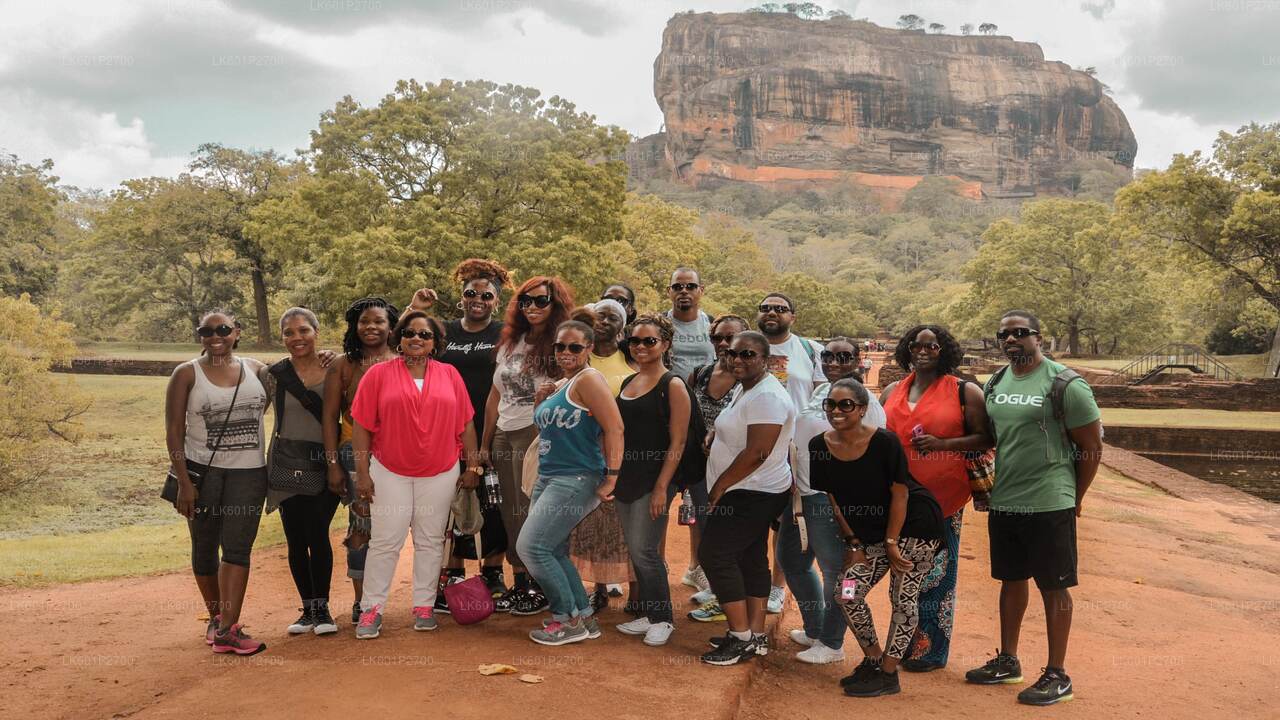 Sigiriya-Felsen- und Elefantensafari ab Negombo