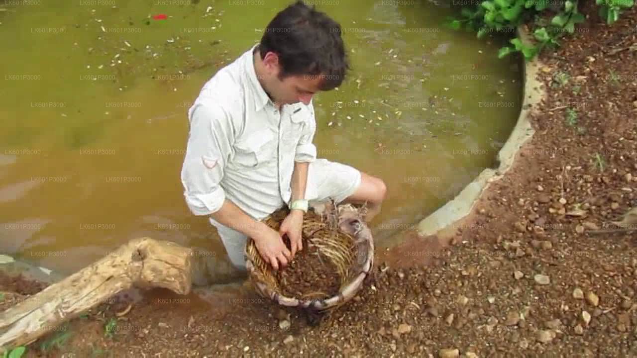 Erkunden Sie die Edelsteinminen in Ratnapura von Negombo aus