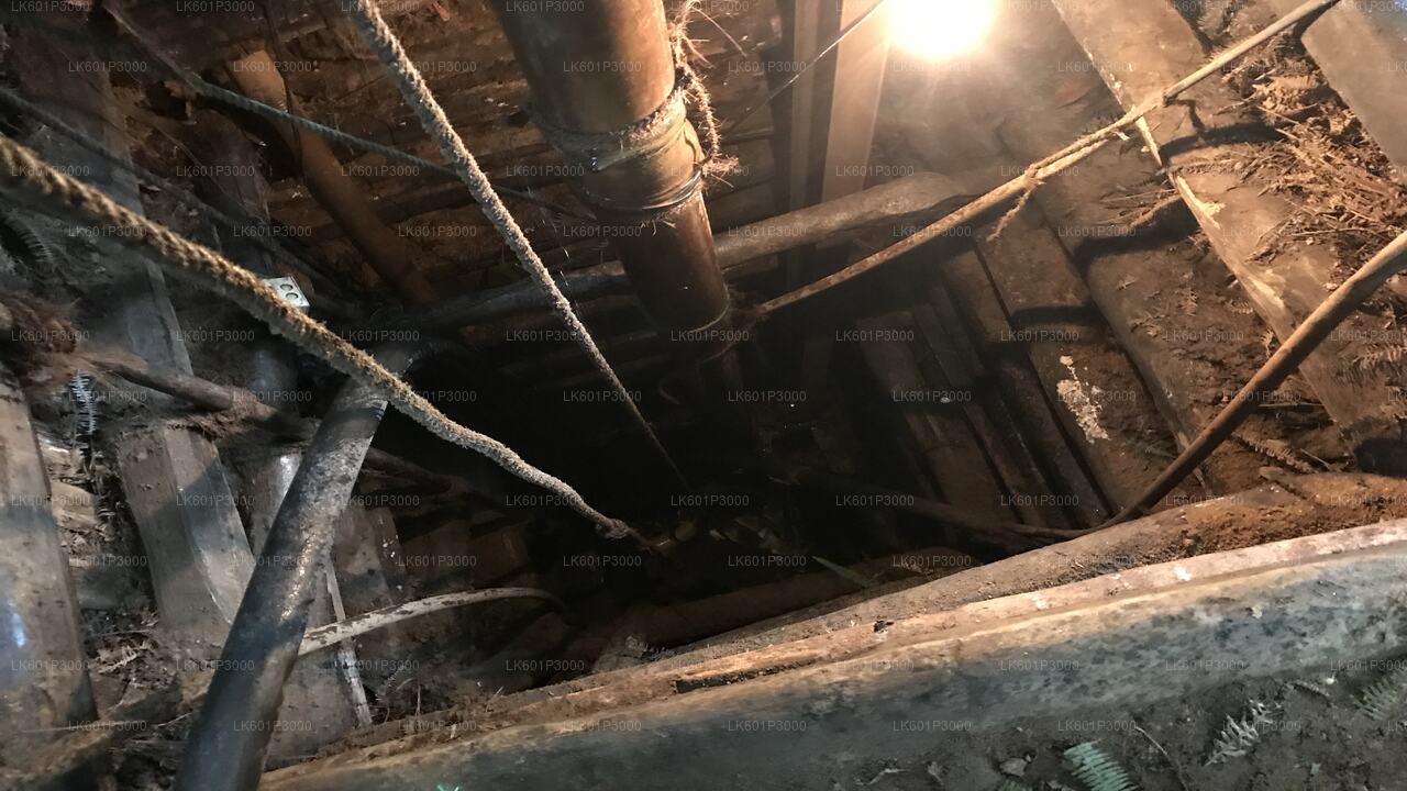 Erkunden Sie die Edelsteinminen in Ratnapura von Negombo aus