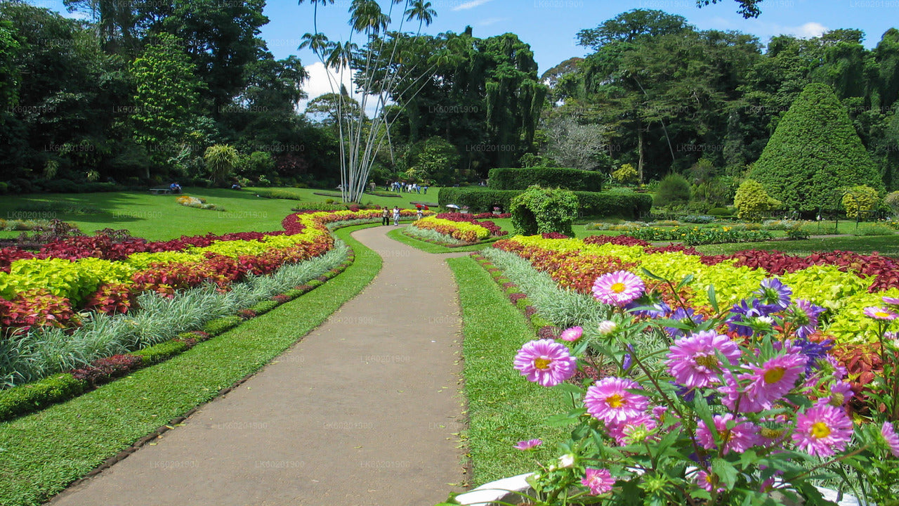 Kandy-Stadtrundfahrt ab Sigiriya