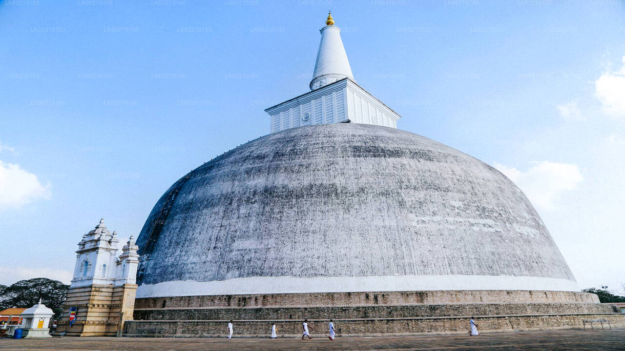 Heilige Stadt Anuradhapura von Sigiriya aus