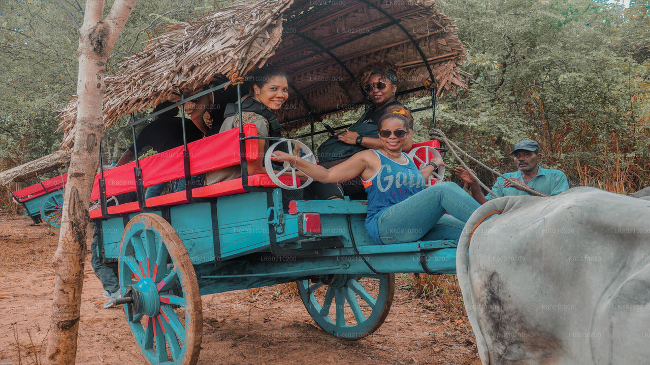 Sigiriya Rock- und Wildelefant-Safari ab Dambulla