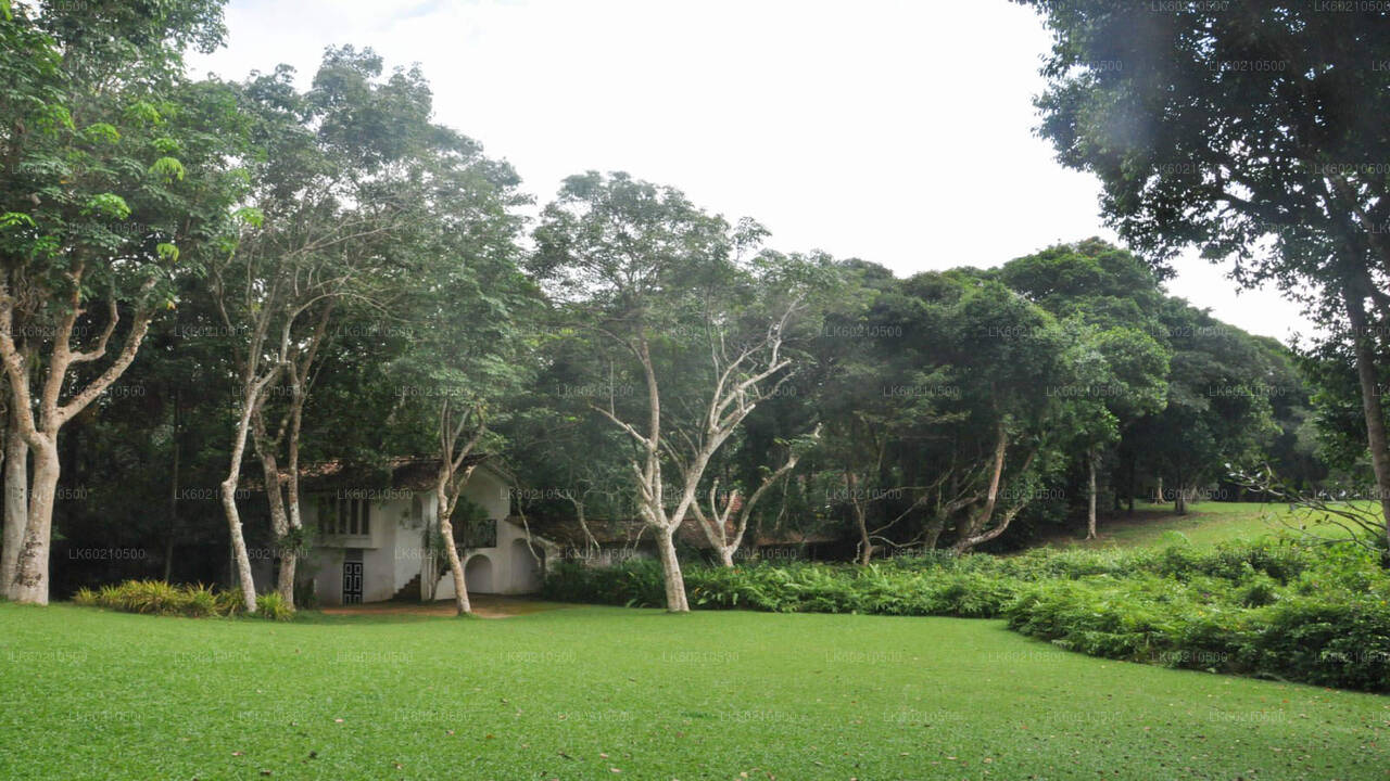 Bentota-Stadtrundfahrt ab Tangalle