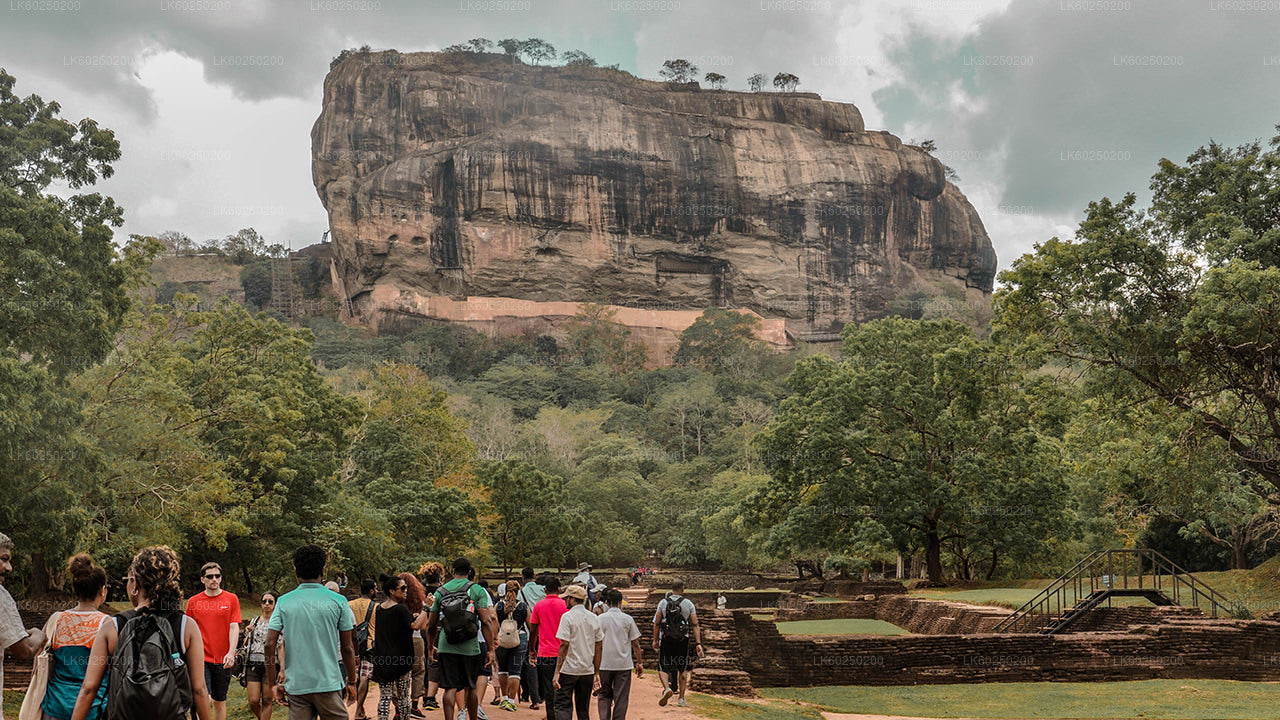 Ab Pasikuda: Sigiriya Rock und Safari mit wilden Elefanten