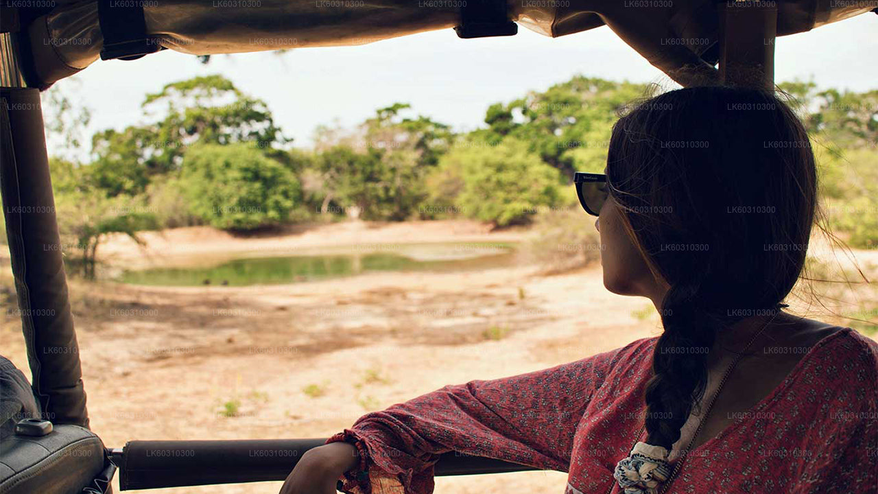 Safari im Yala-Nationalpark ab Tangalle