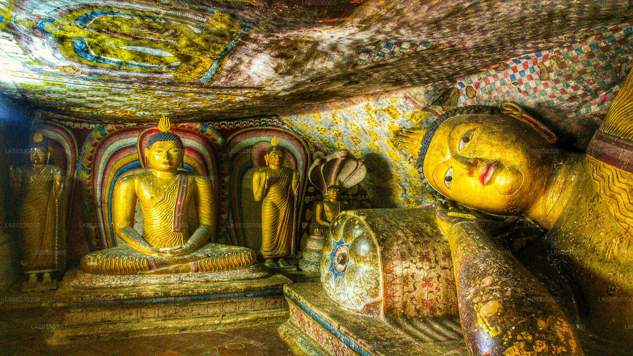 Sigiriya und Dambulla aus Colombo