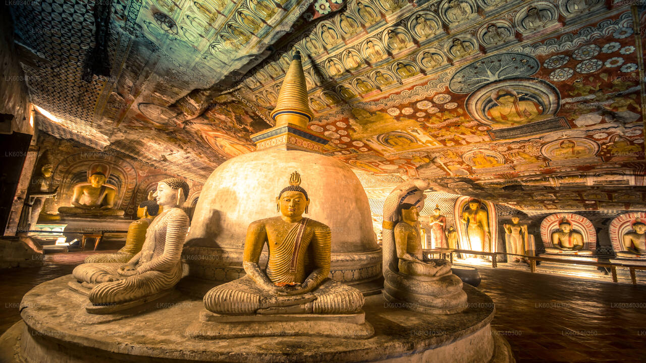 Sigiriya Rock und Dambulla aus Panadura